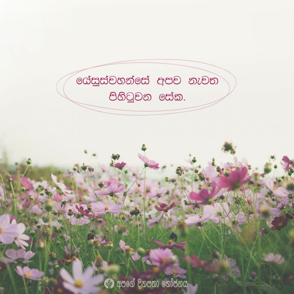 Share ODB 2021-07-12