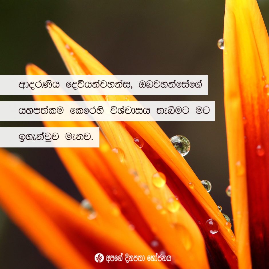 Share ODB 2021-07-18