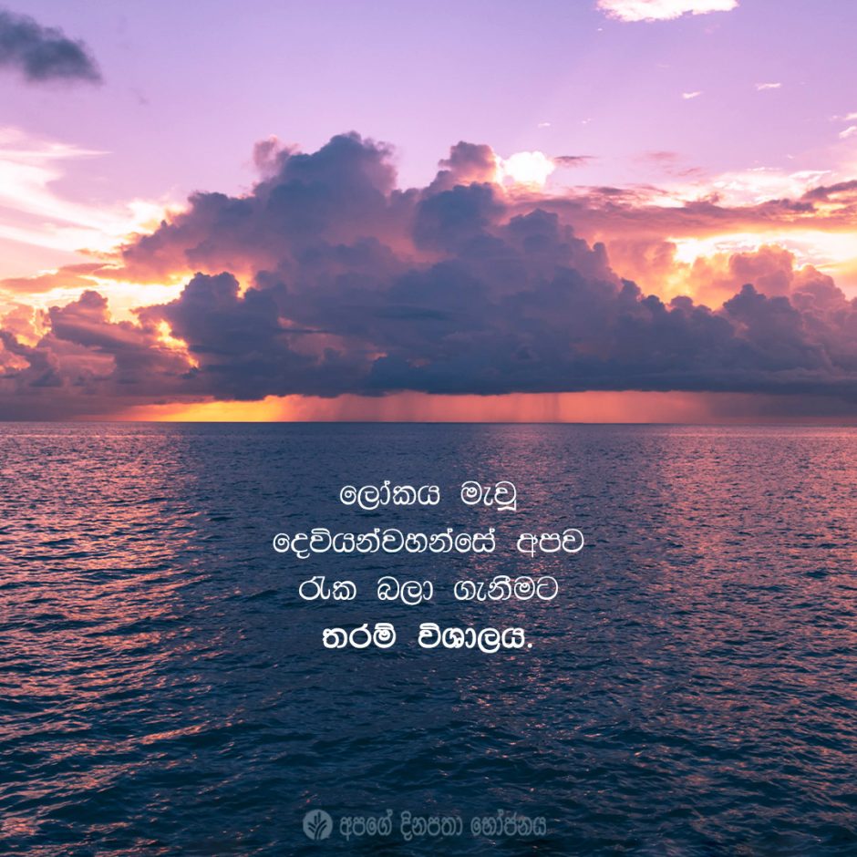 Share ODB 2021-07-20