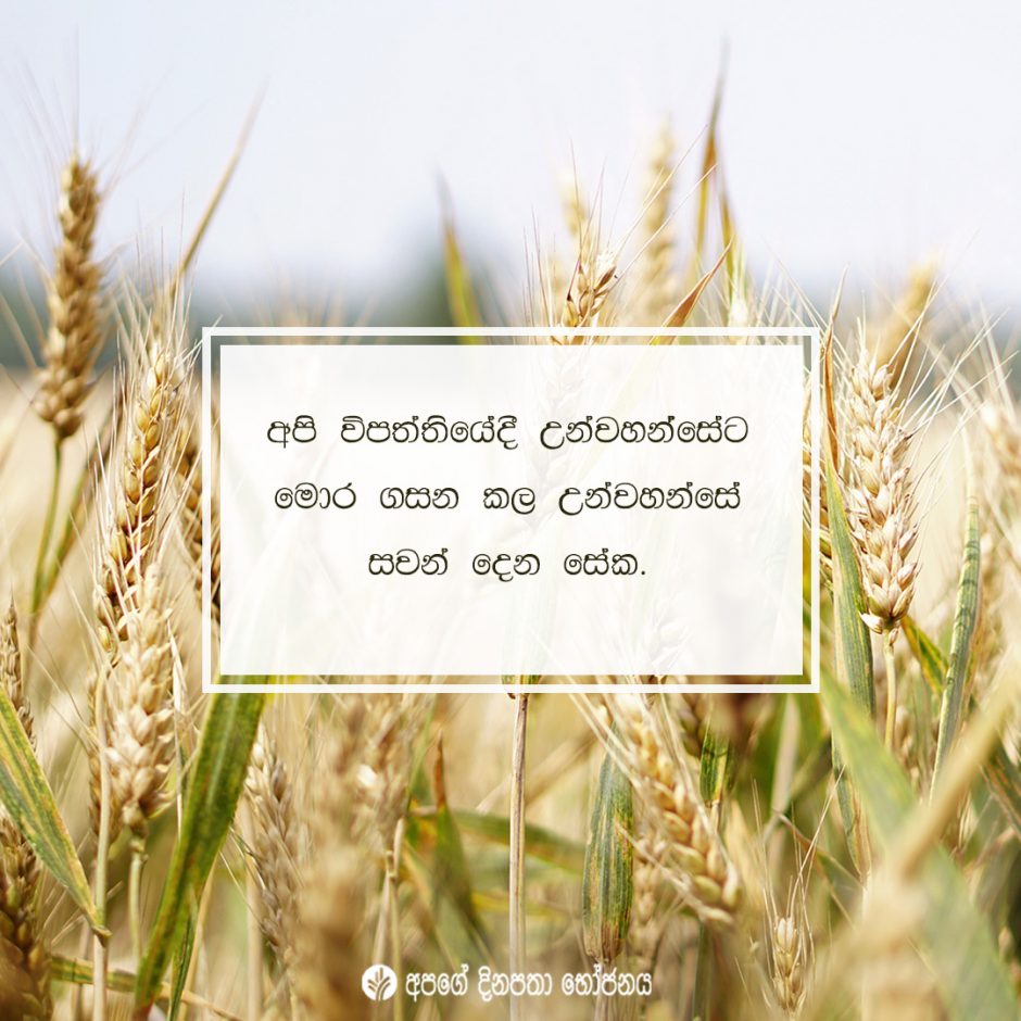 Share ODB 2021-07-22