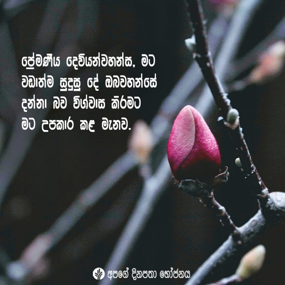 Share ODB 2021-10-02