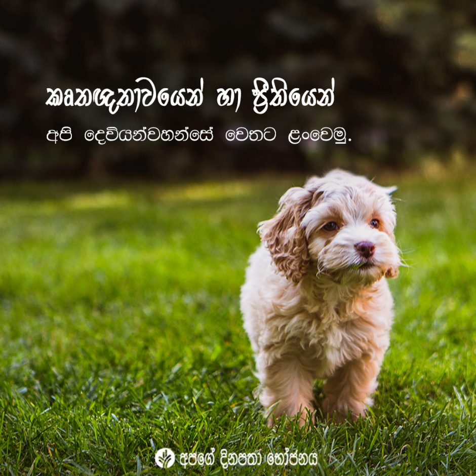 Share ODB 2021-10-11