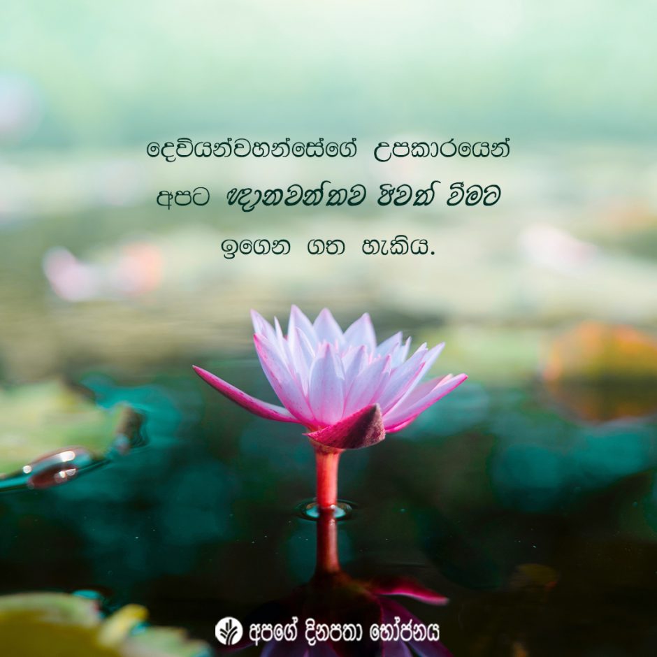 Share ODB 2021-10-16