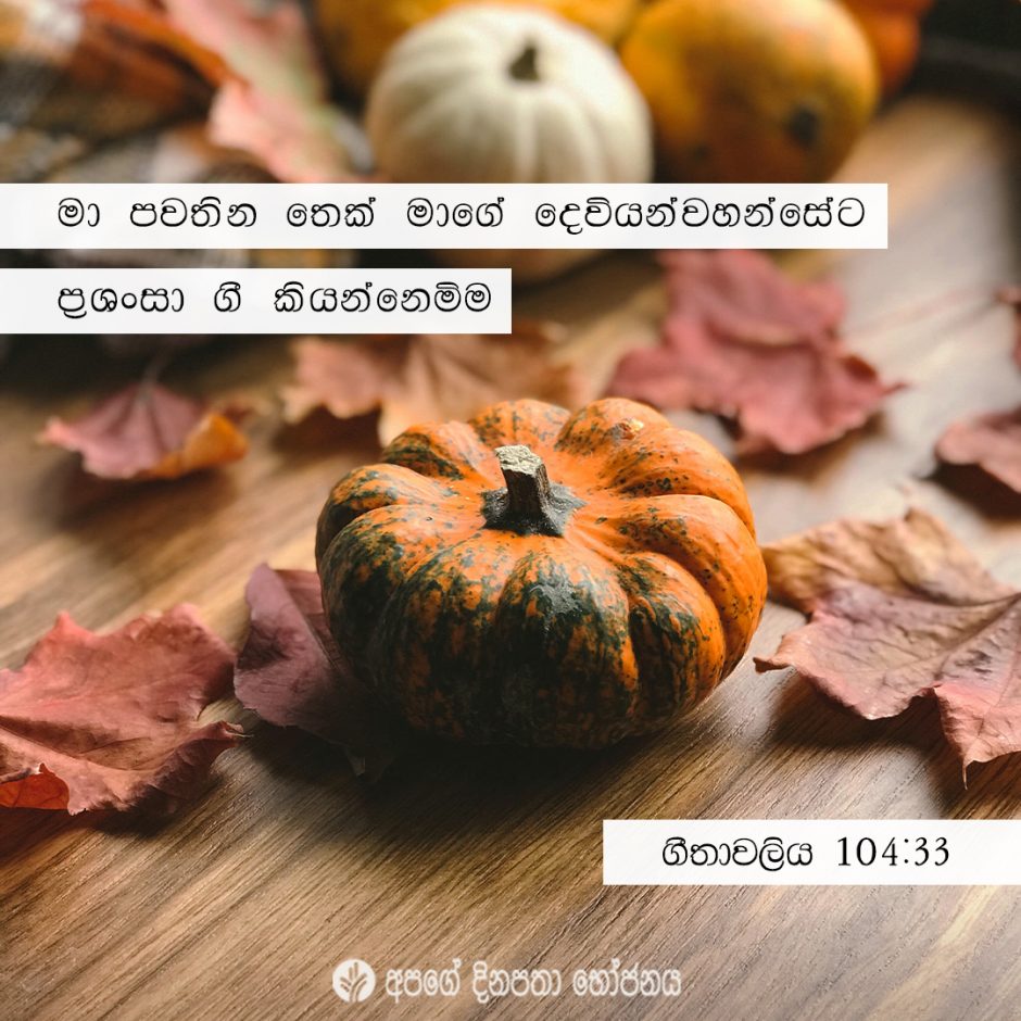 Share ODB 2021-10-31