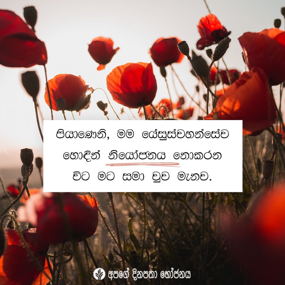 Share ODB 2021-11-07