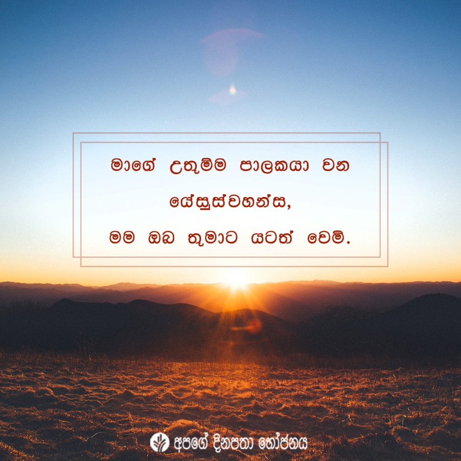 Share ODB 2021-11-11