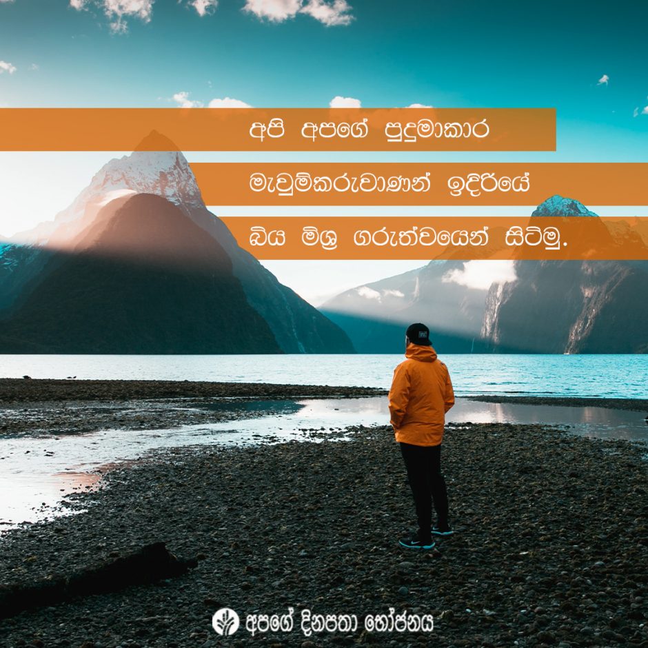 Share ODB 2021-11-12