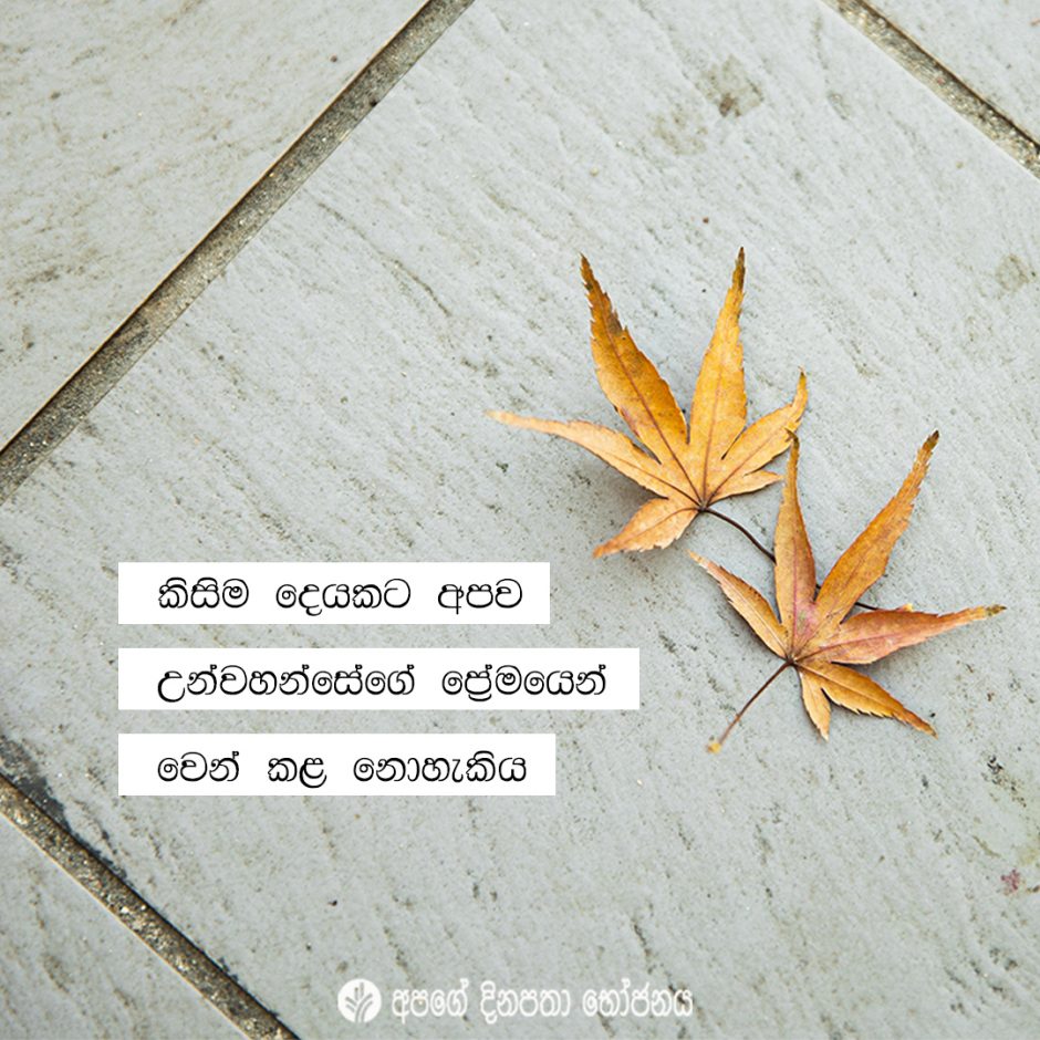 Share ODB 2021-11-13