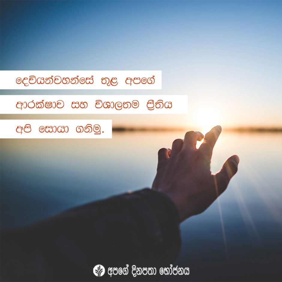 Share ODB 2021-11-15