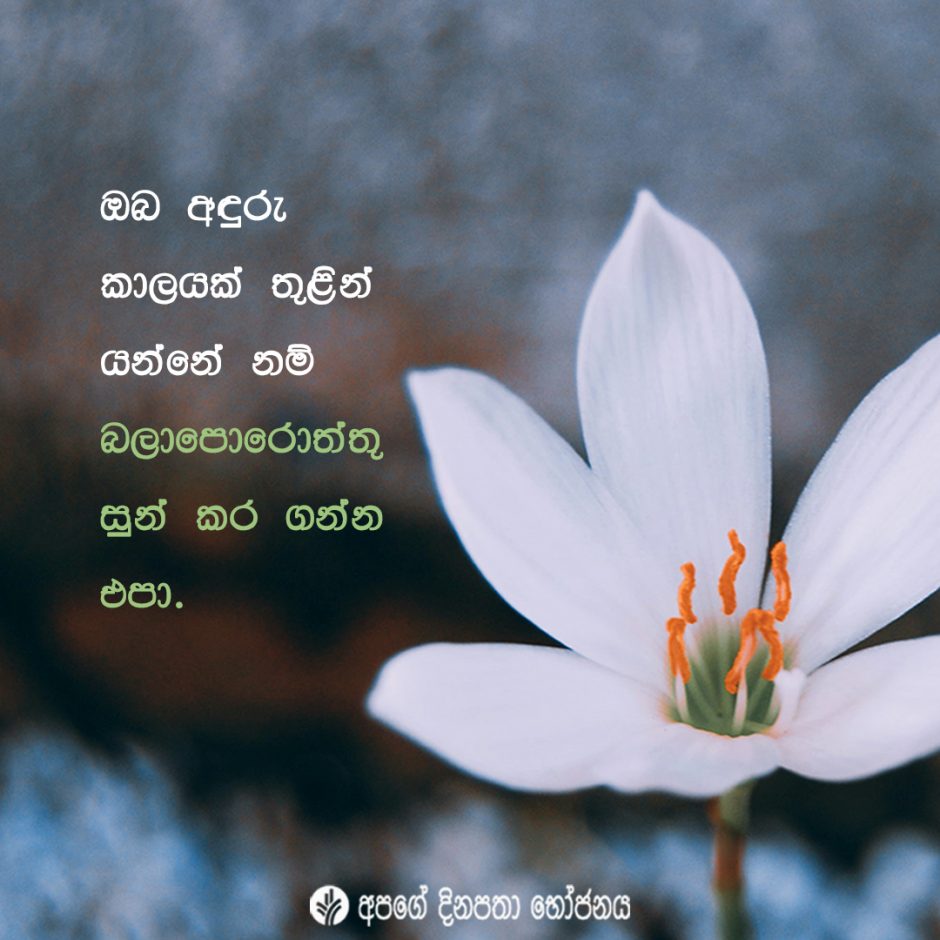 Share ODB 2021-11-19