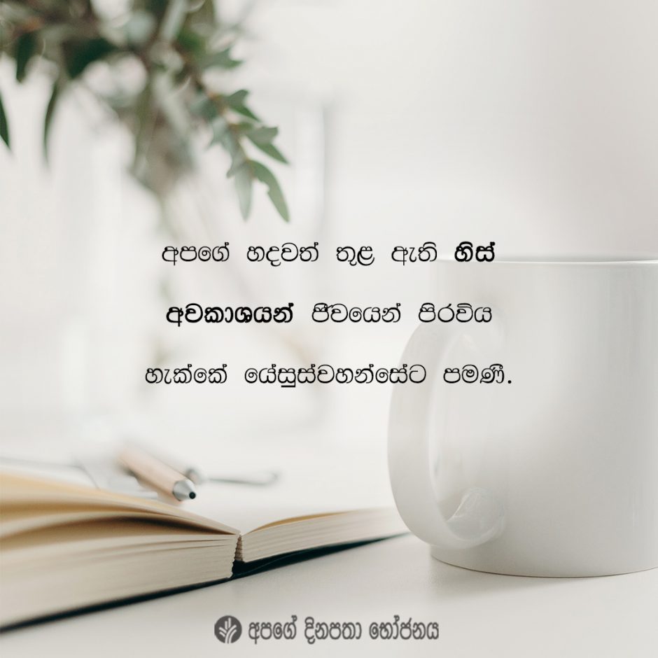 Share ODB 2021-11-20