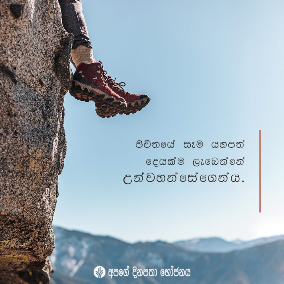 Share ODB 2021-11-25