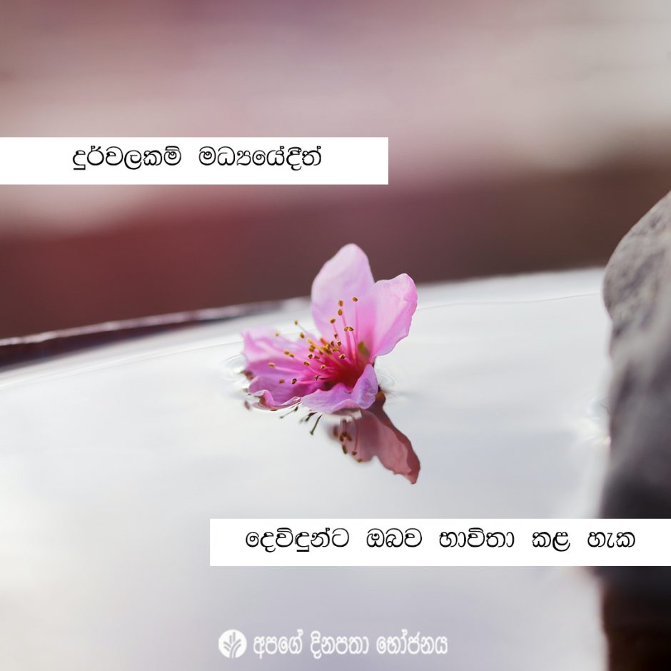 Share ODB 2021-11-26