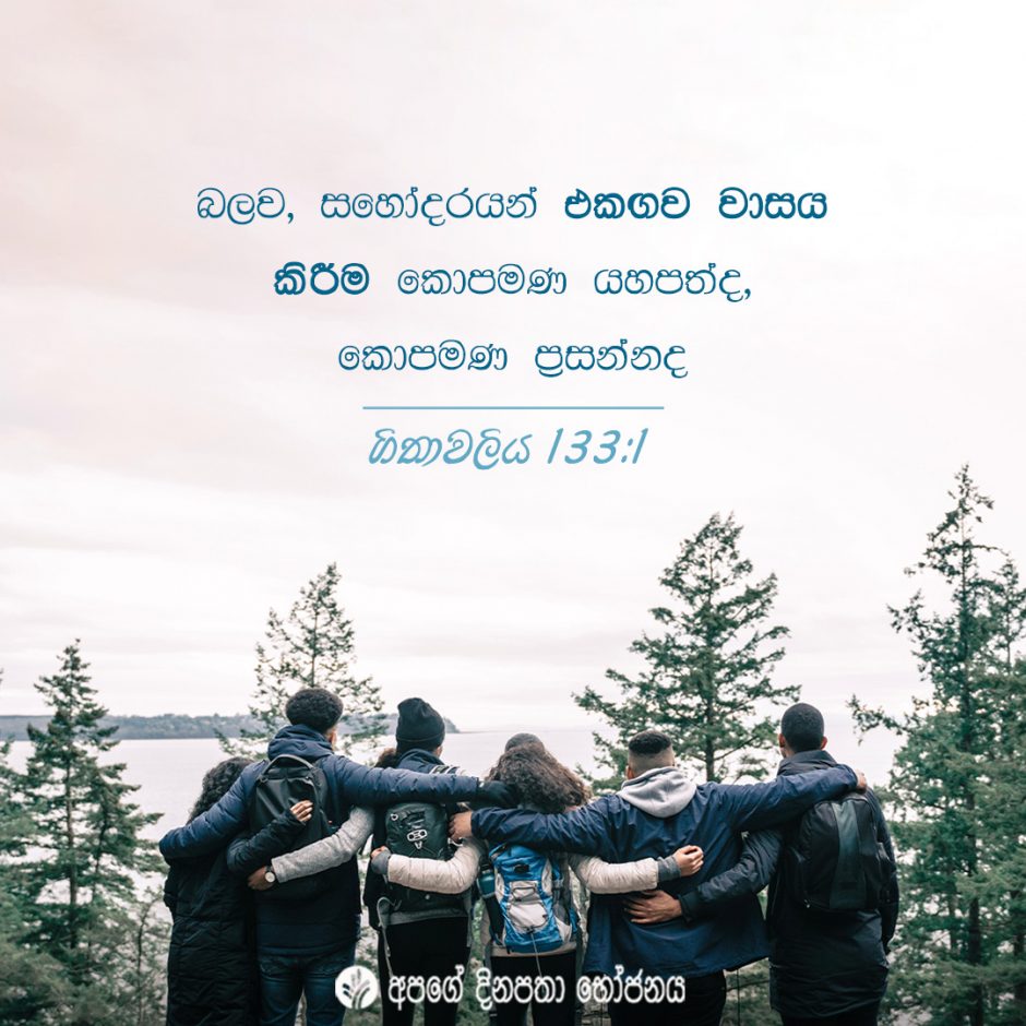 Share ODB 2021-12-02