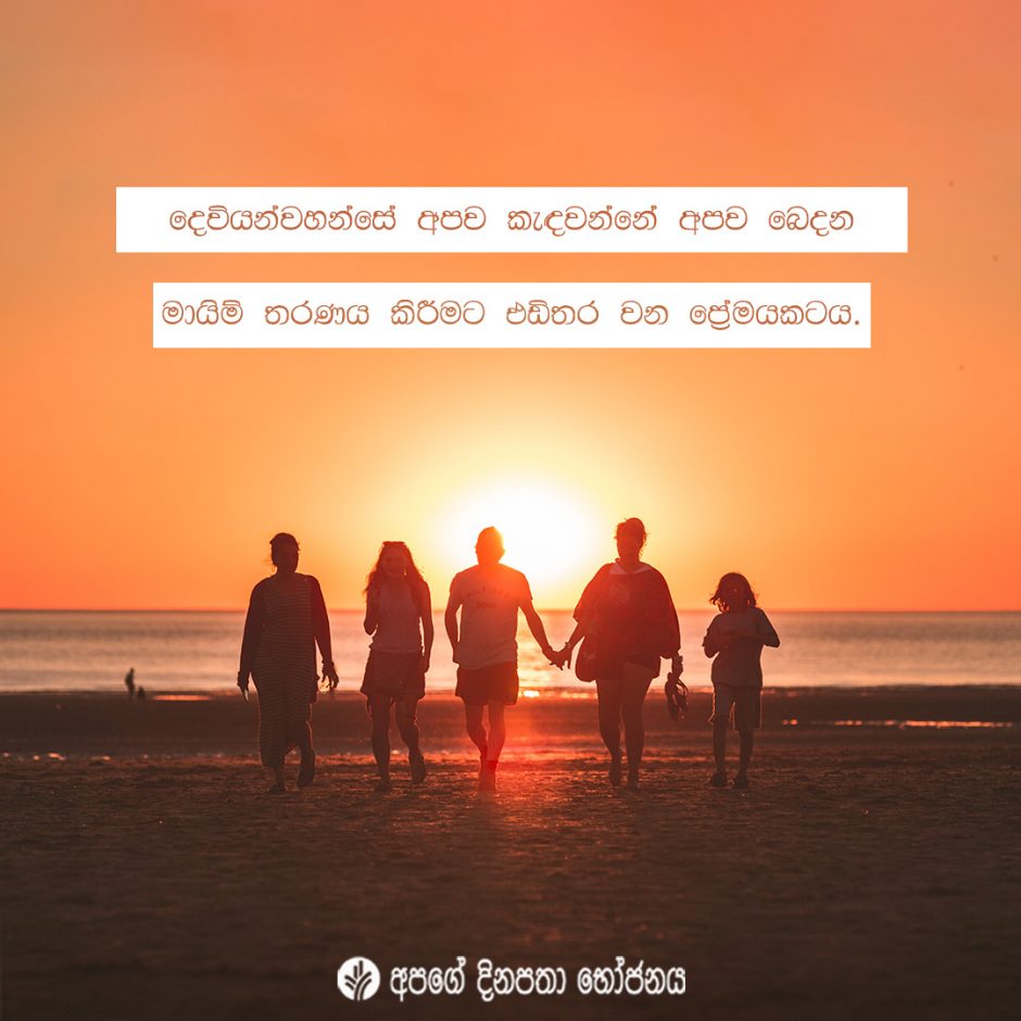 Share ODB 2021-12-04