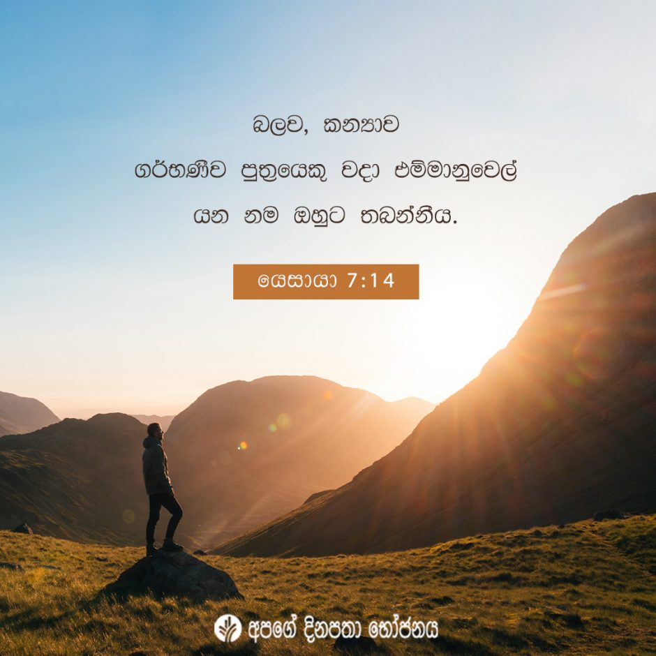 Share ODB 2021-12-07