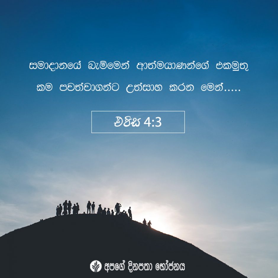 Share ODB 2021-12-08