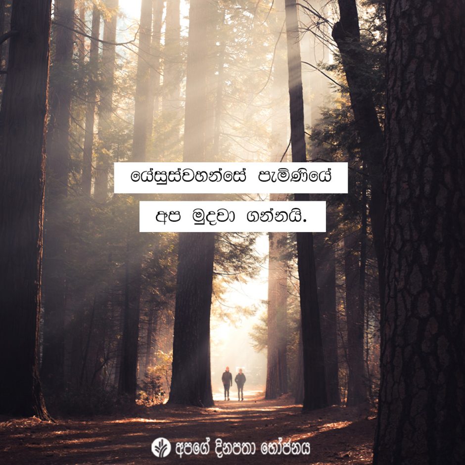 Share ODB 2021-12-10