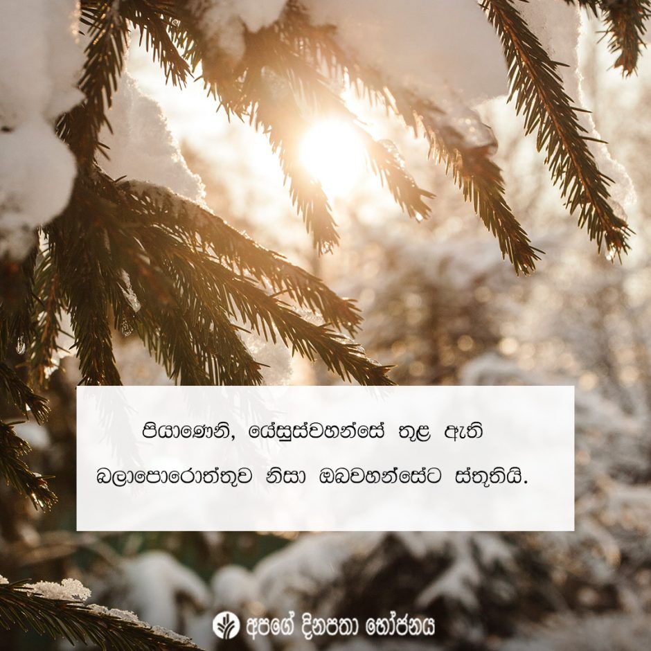 Share ODB 2021-12-31 Share ODB 2021-12-31
