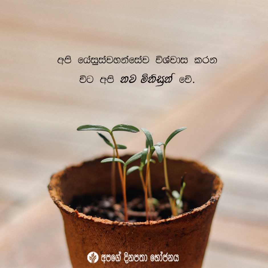 Share ODB 2022-01-02