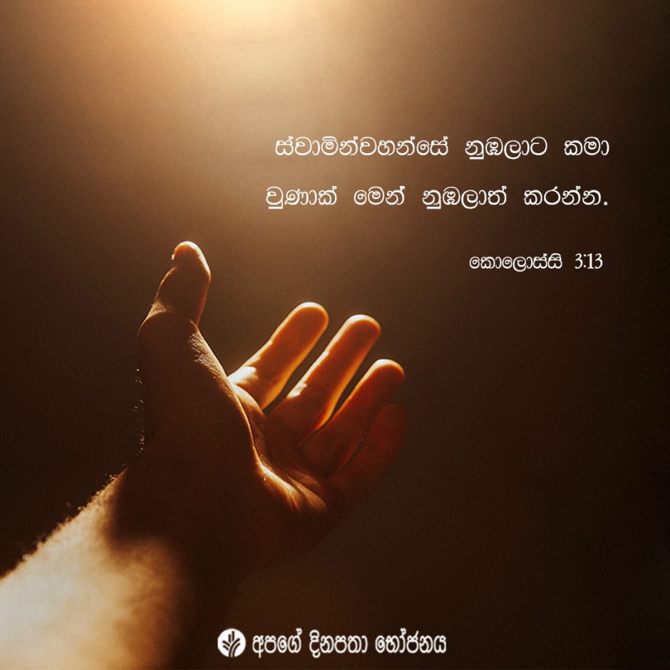 Share ODB 2022-01-06 Share ODB 2022-01-06