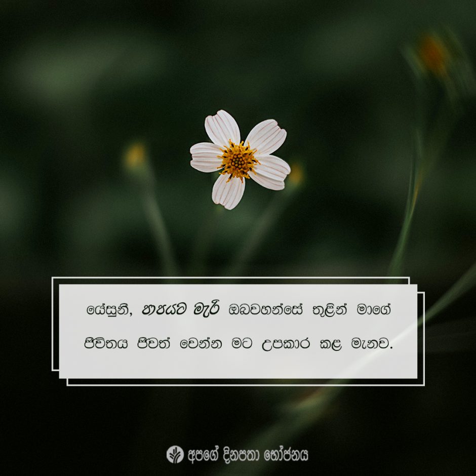 Share ODB 2022-01-15