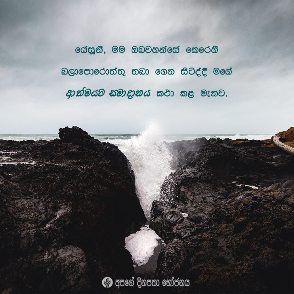 Share ODB 2022-01-17