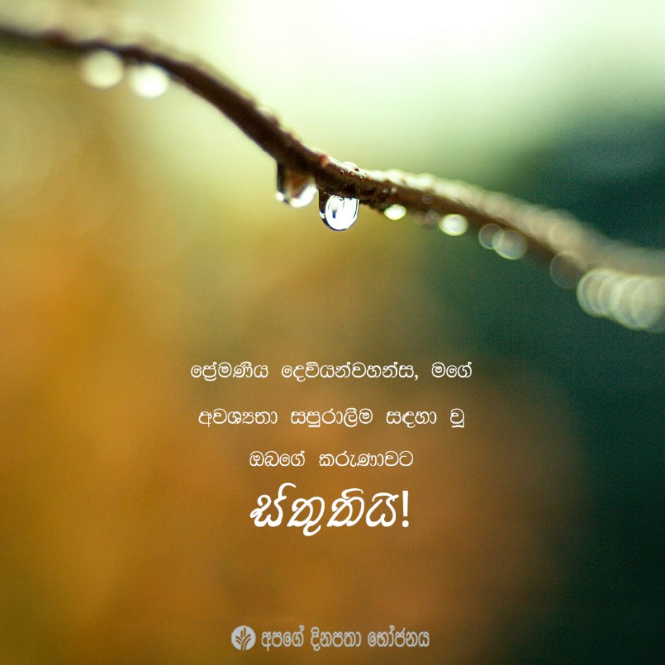 Share ODB 2022-01-31