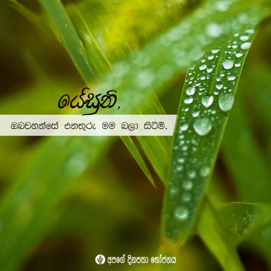 Share ODB 2022-03-07