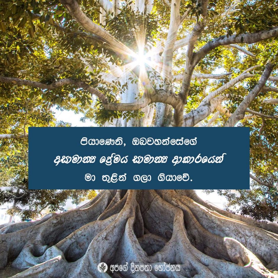 Share ODB 2022-03-18