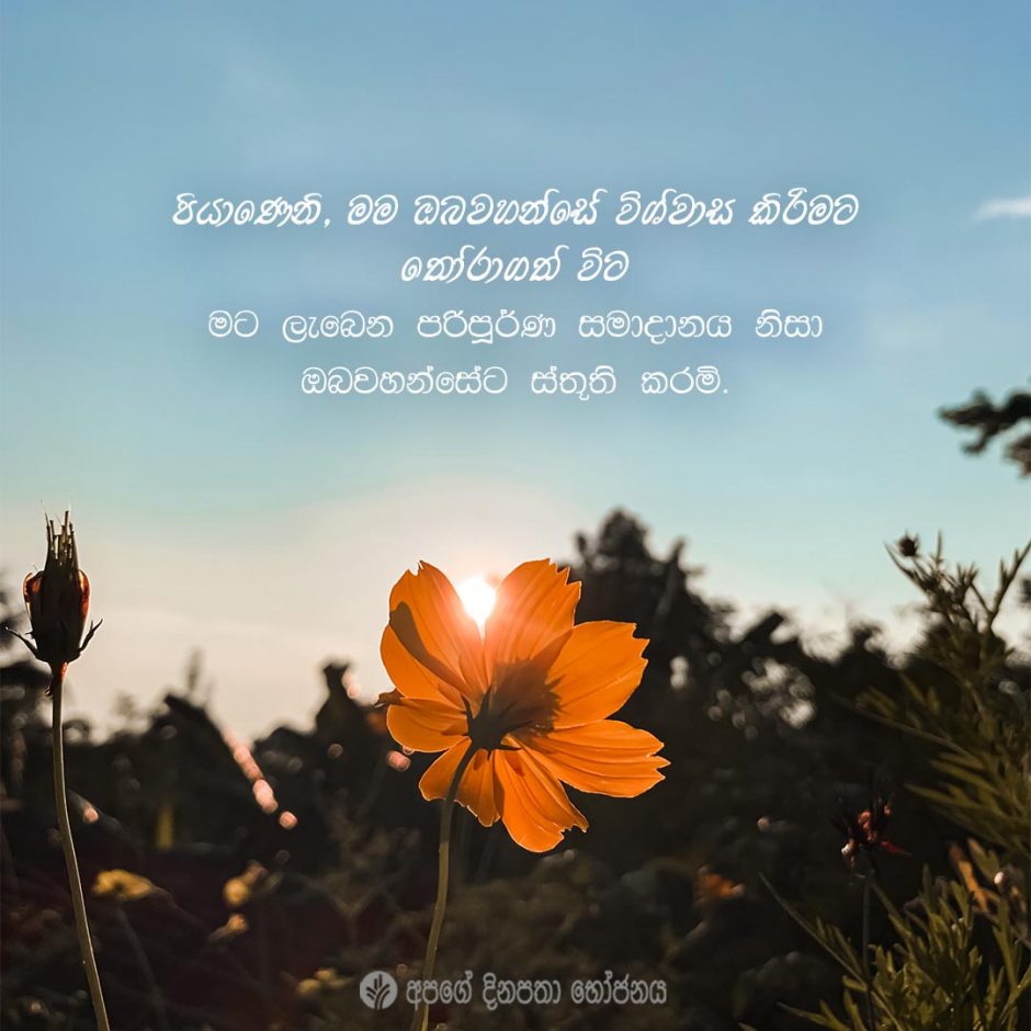 Share ODB 2022-03-28