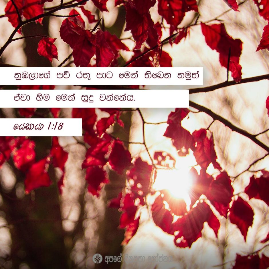 Share ODB 2022-03-30