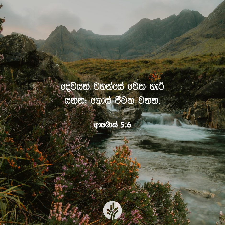 Share ODB 2025-07-11