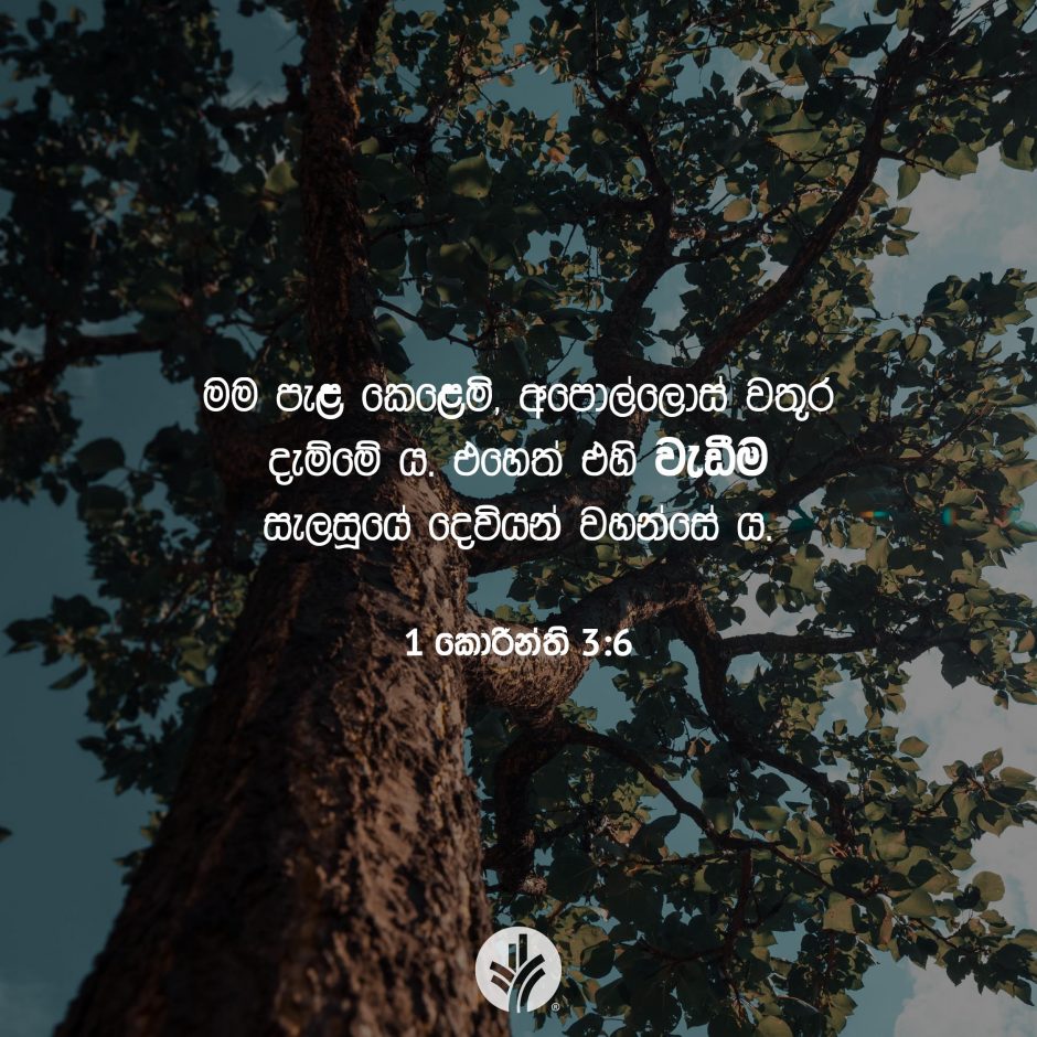 Share ODB 2025-07-12