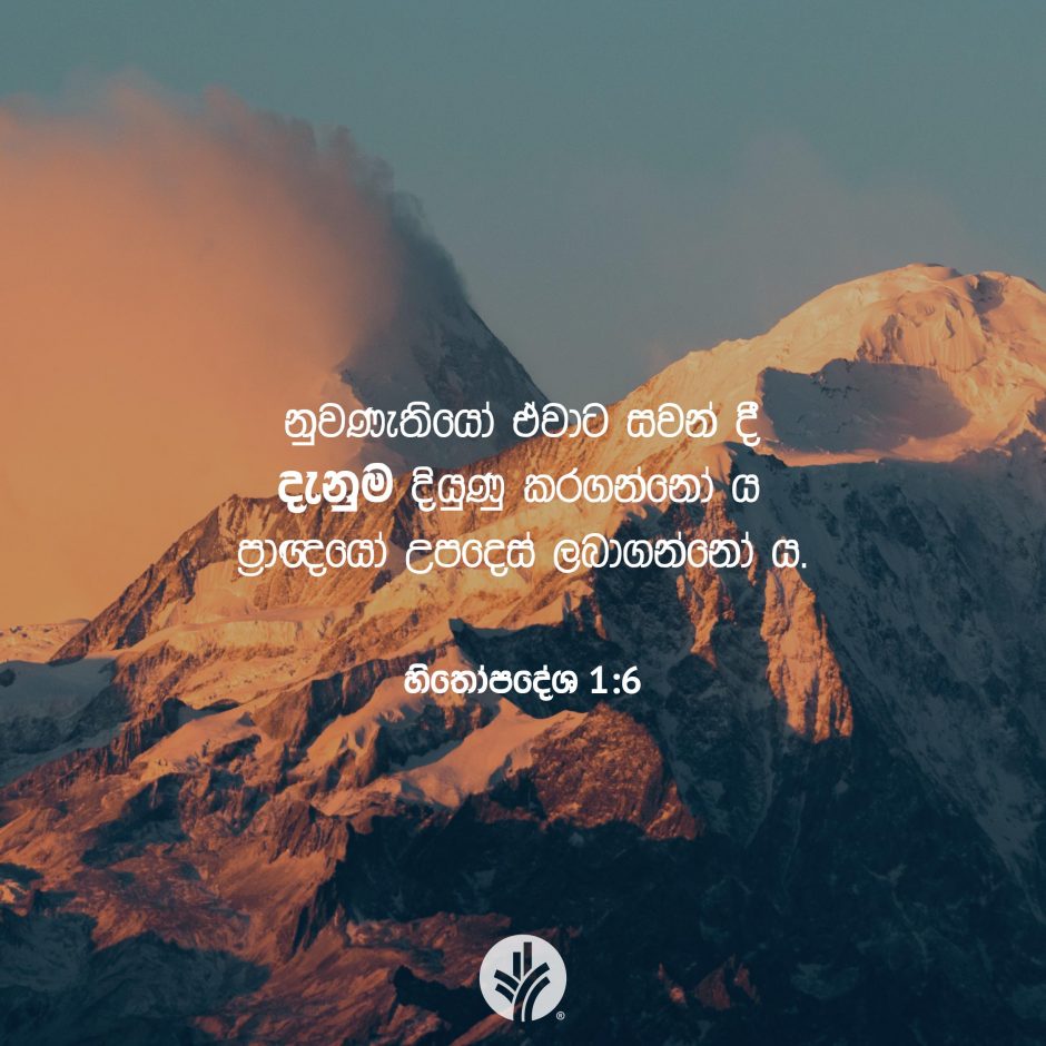 Share ODB 2025-07-13