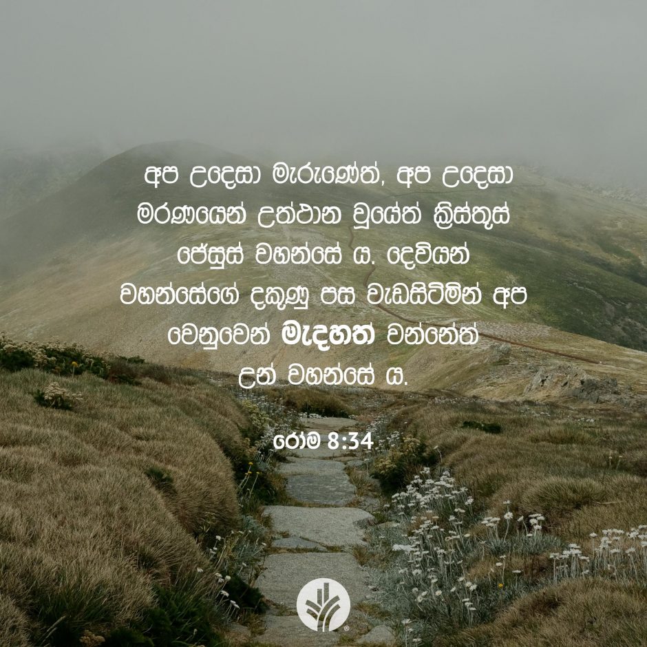 Share ODB 2025-07-15