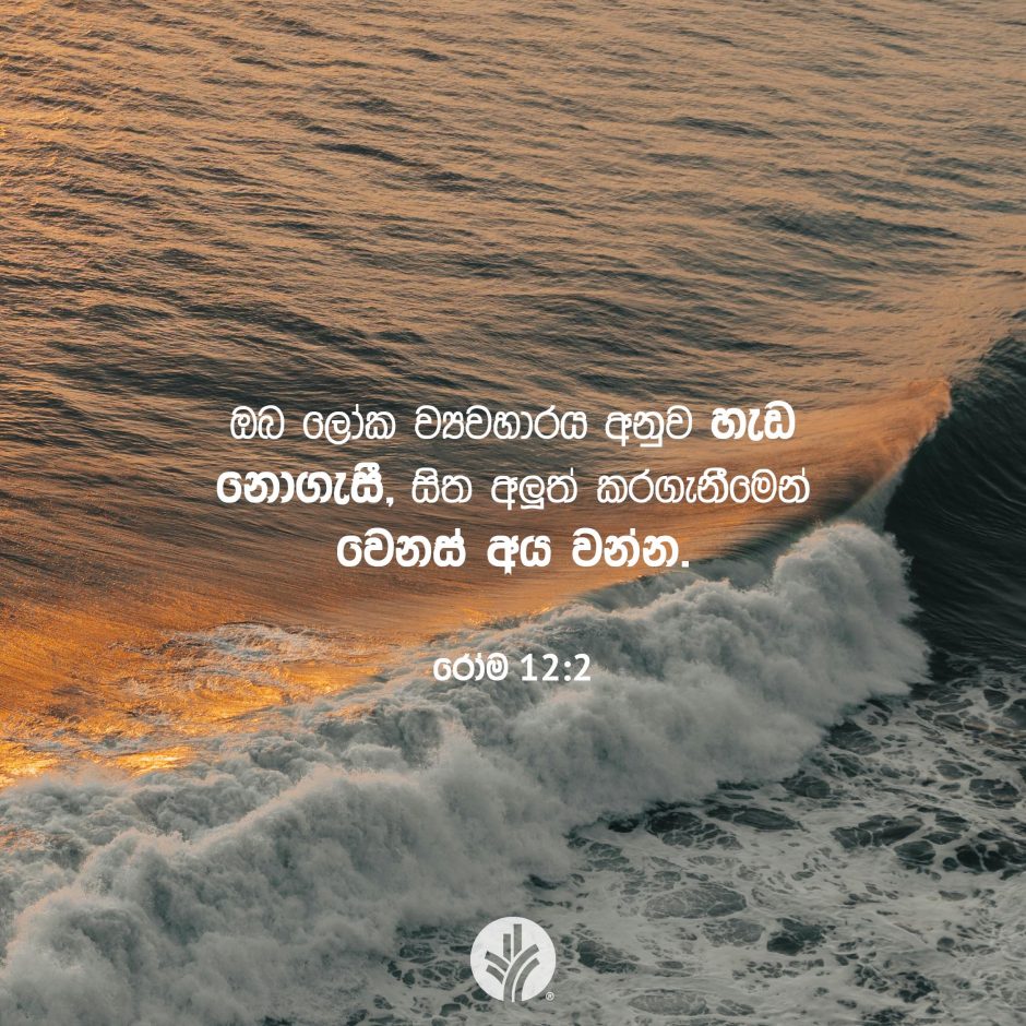 Share ODB 2025-07-16
