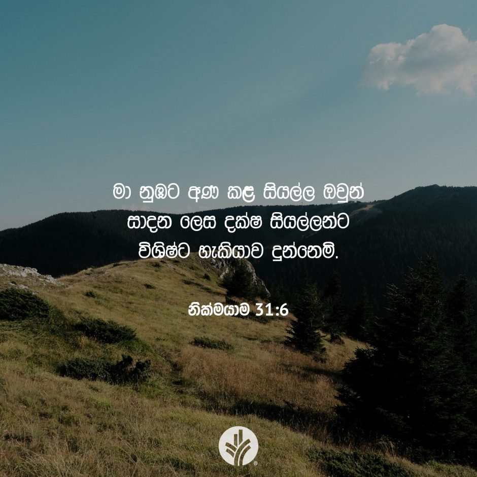 Share ODB 2025-07-18