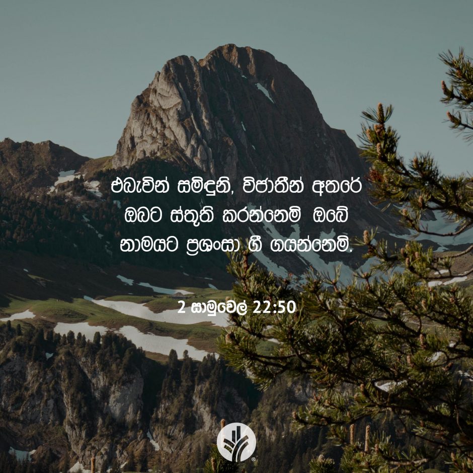 Share ODB 2025-07-20