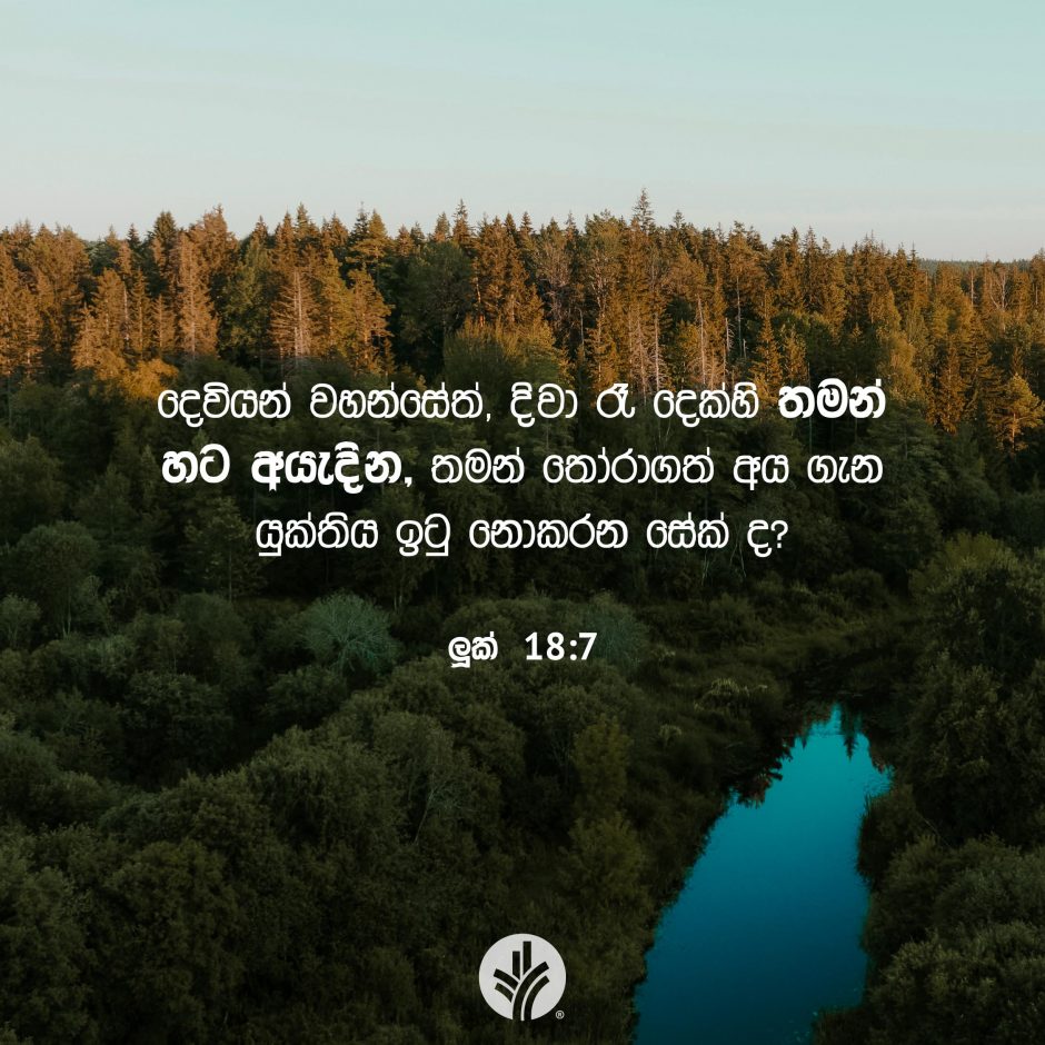 Share ODB 2025-07-22