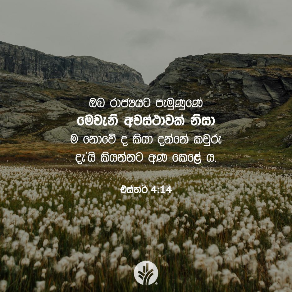 Share ODB 2025-07-24