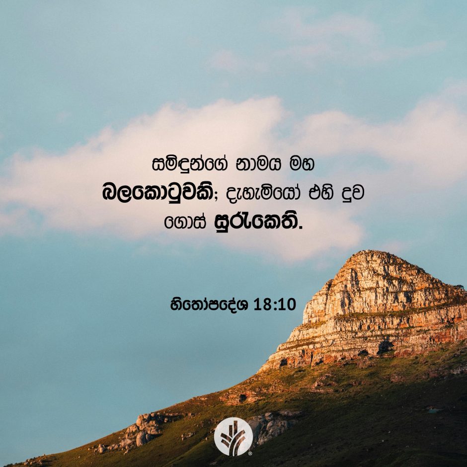 Share ODB 2025-07-26