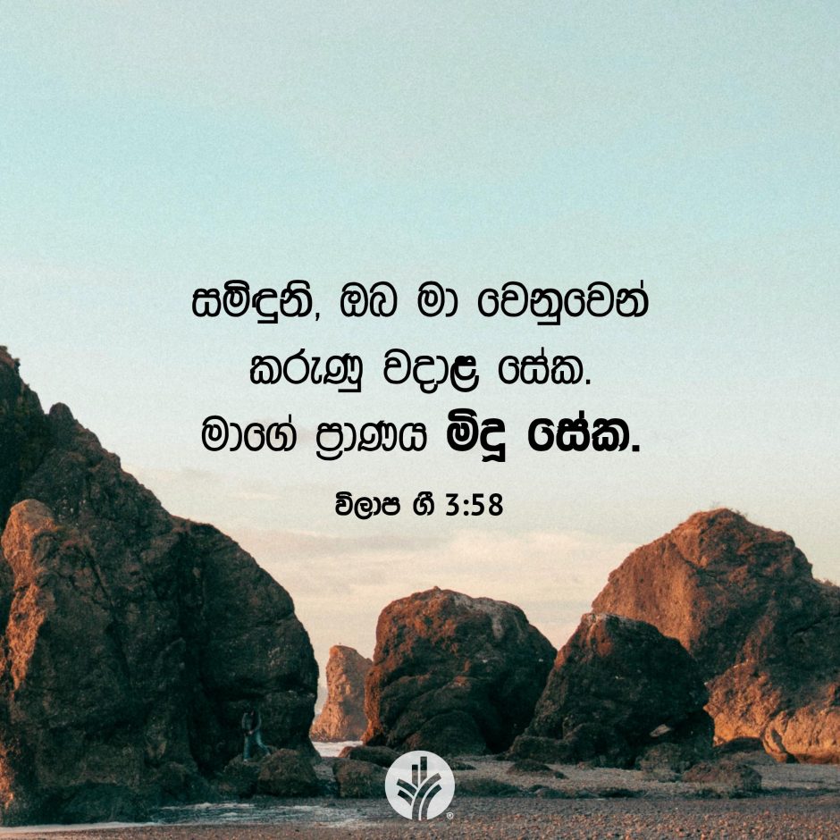 Share ODB 2025-07-28