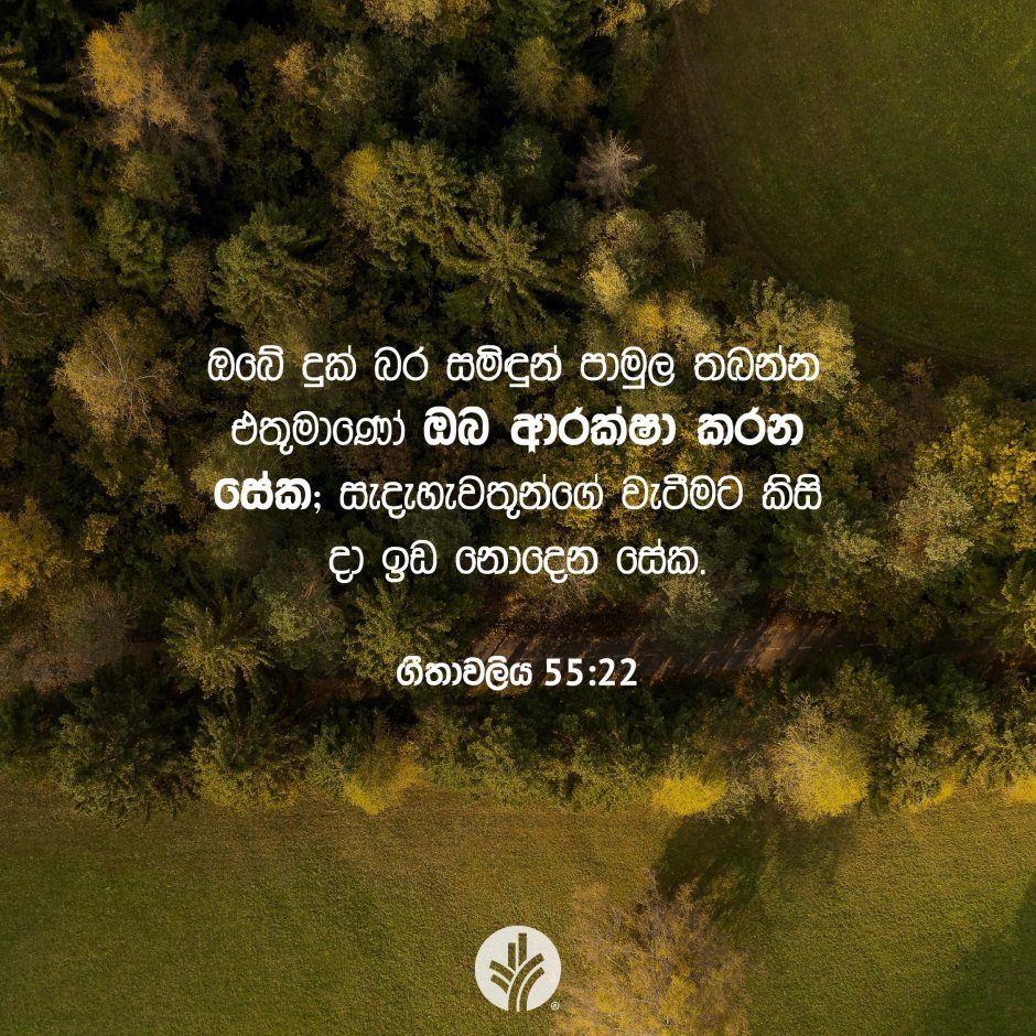 Share ODB 2025-07-29