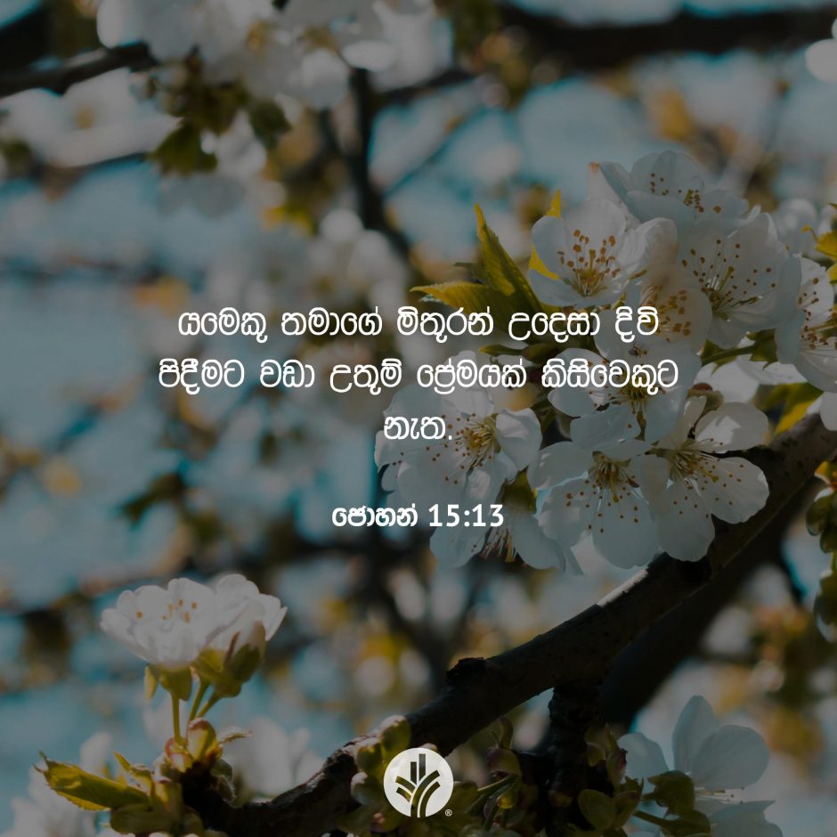 Share ODB 2025-07-30