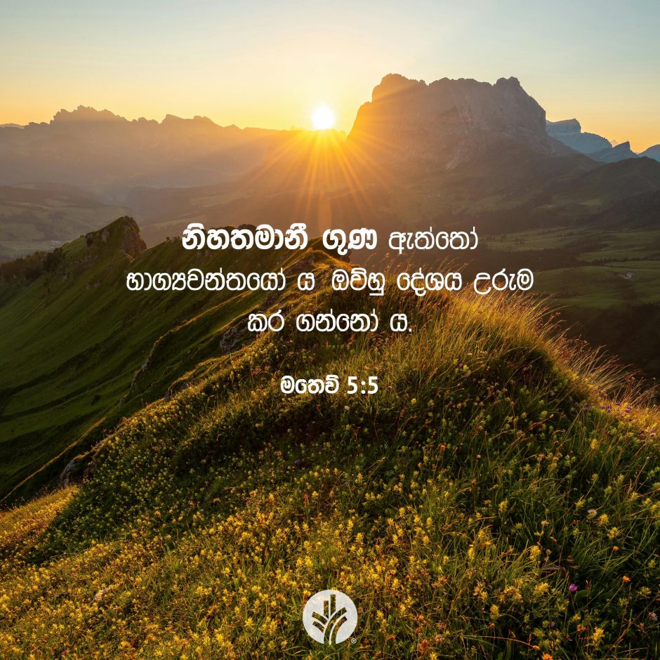 Share ODB 2025-08-01