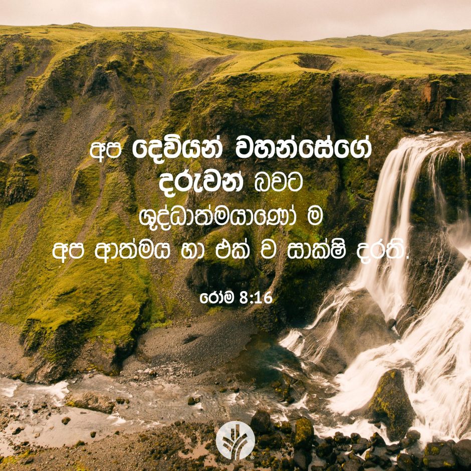 Share ODB 2025-08-02