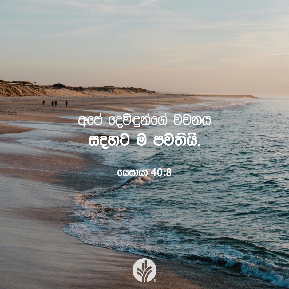 Share ODB 2025-08-04