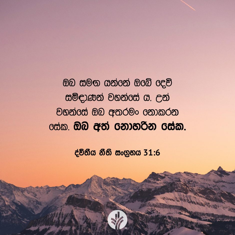 Share ODB 2025-08-05