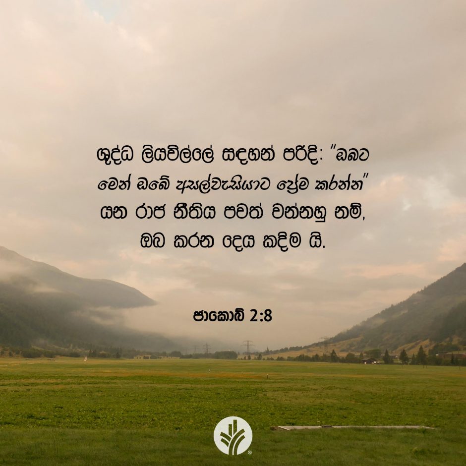 Share ODB 2025-08-06